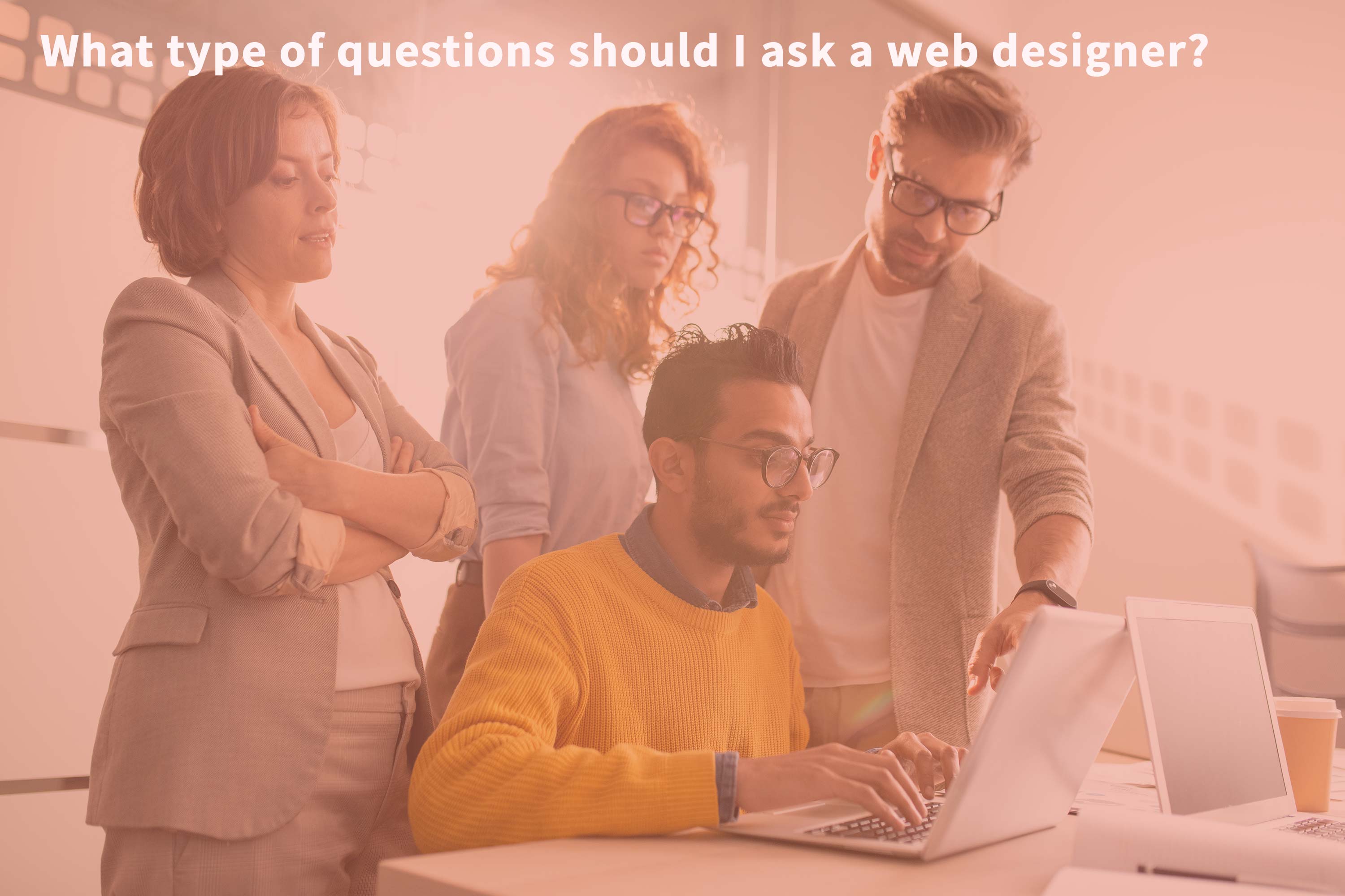 What type of questions should I ask a web designer?